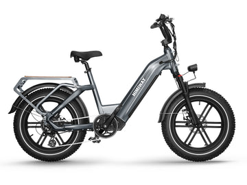 HIMIWAY BIG DOG CARGO BIKE